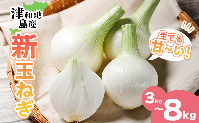 
            【先行予約】 津和地新玉ねぎ 3kgから8kg【津和地ブランド玉ねぎ】|玉ねぎ たまねぎ タマネギ オニオン ブランド玉ねぎ 新玉ねぎ 津和地島産 野菜 島野菜 農家直送 期間限定  ドレッシング スープ ハンバーグ 玉ねぎステーキ サラダ オニオンスライス 甘い 人気 おすすめ 旬 愛媛県 松山市
          