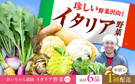 【6品】農薬に頼らない！カラダにやさしい「イタリア野菜」セット（ショート）【吉野ヶ里あいちゃん農園】野菜 やさい サラダ キャベツ ブロッコリー かぶ きゅうり ナス 詰め合わせ 九州 佐賀県産 旬の野菜 有機農法 有機肥料 ギフト 栄養満点 新鮮 旬 ヘルシー 減農薬 セット[FAA013]