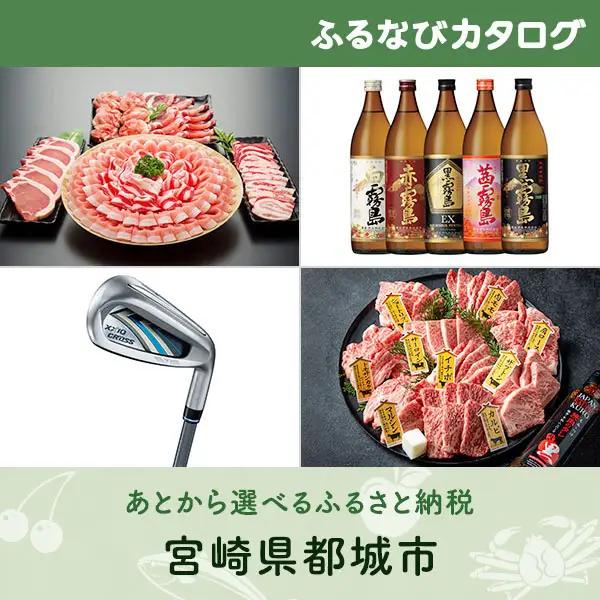 【有効期限なし！後からゆっくり特産品を選べる】宮崎県都城市カタログポイント