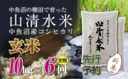 【ふるさと納税】【先行新米予約】【定期便／全6回】玄米10kg　新潟県魚沼産コシヒカリ「山清水米」十日町市 米　お届け：寄附入金確認後、10月上旬から順次発送します。