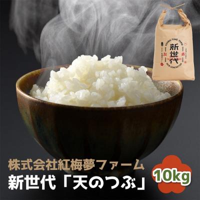 ふるさと納税 南相馬市 新世代「天のつぶ」10kg×1袋　精米【0402101】