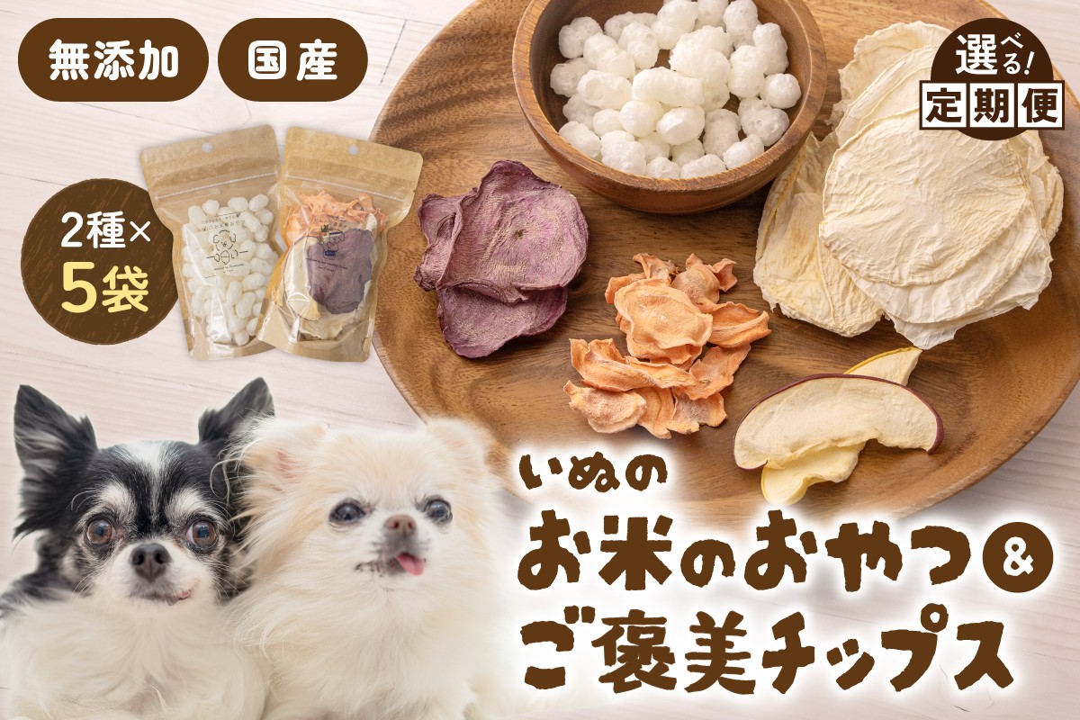 
                  〈選べる回数〉いぬのお米のおやつ25g×3袋 いぬのご褒美チップス20g×2袋 ペットフード 犬 無添加 おやつ 美味しい ご褒美 ドッグフード いぬ 犬用 いぬ用 愛犬用 R030-014-O
                