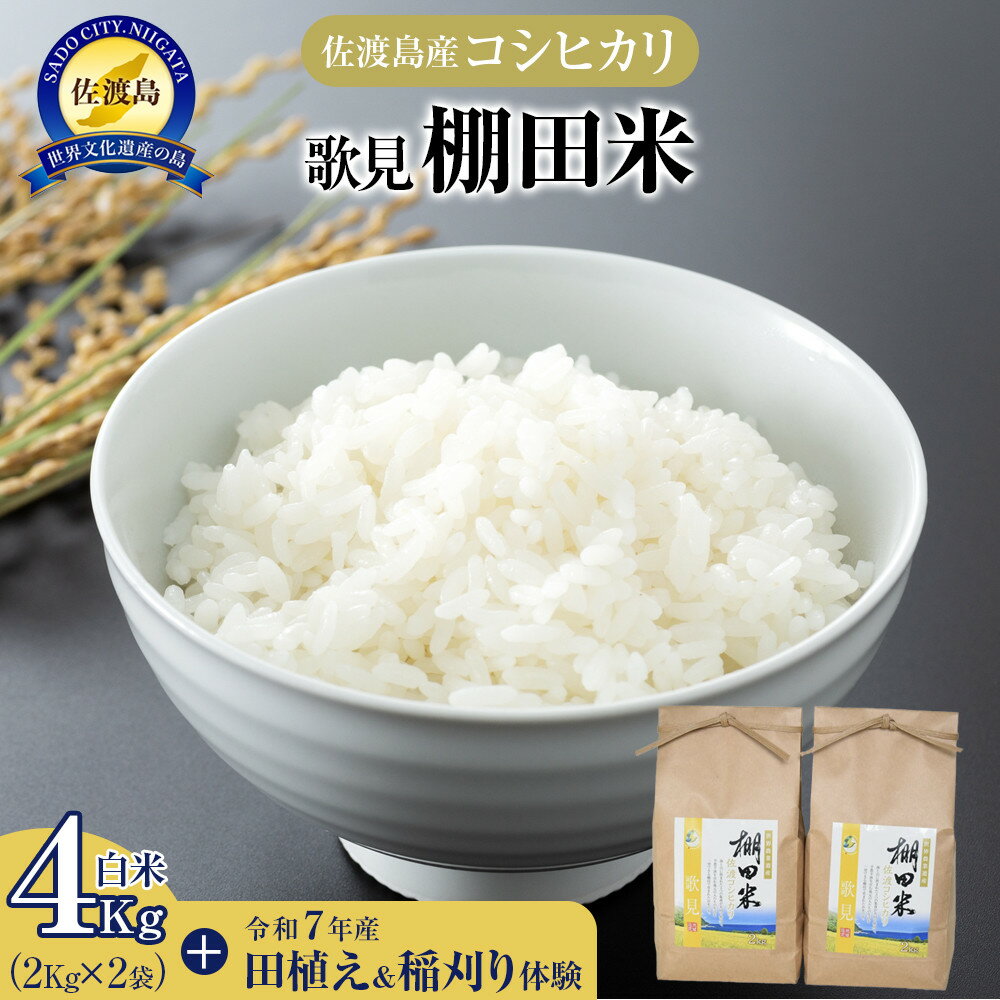【ふるさと納税】［新米予約］佐渡島産コシヒカリ 歌見棚田米 白米4Kg（2Kg×2袋）令和7年産 田植え・稲刈り体験　 | お米 こめ 白米 食品 人気 おすすめ 送料無料 世界遺産