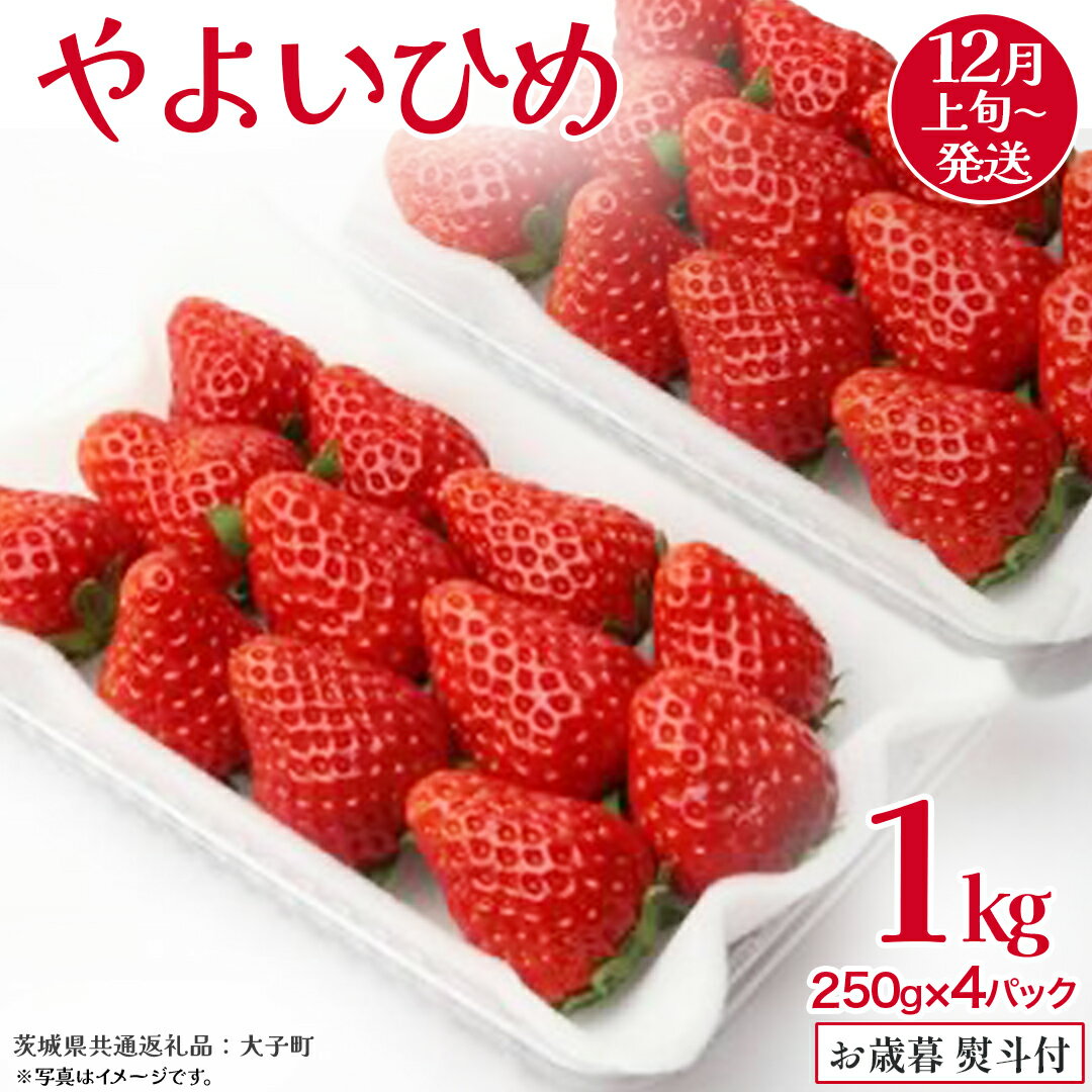 【ふるさと納税】【 お歳暮 熨斗付き 】 やよいひめ 250g（8～12粒）×4パック【2025年12月上旬発送開始】(茨城県共通返礼品：大子町) いちご 苺 果物 フルーツ 果実 贈答用 ギフト 贈り物