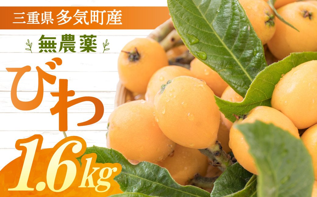 
                  無農薬多気町産ビワ 計約1.6㎏ （約400g）×４  無農薬 枇杷 ビワ フルーツ 果物 くだもの 果実 三重県 多気町 NS-02
                