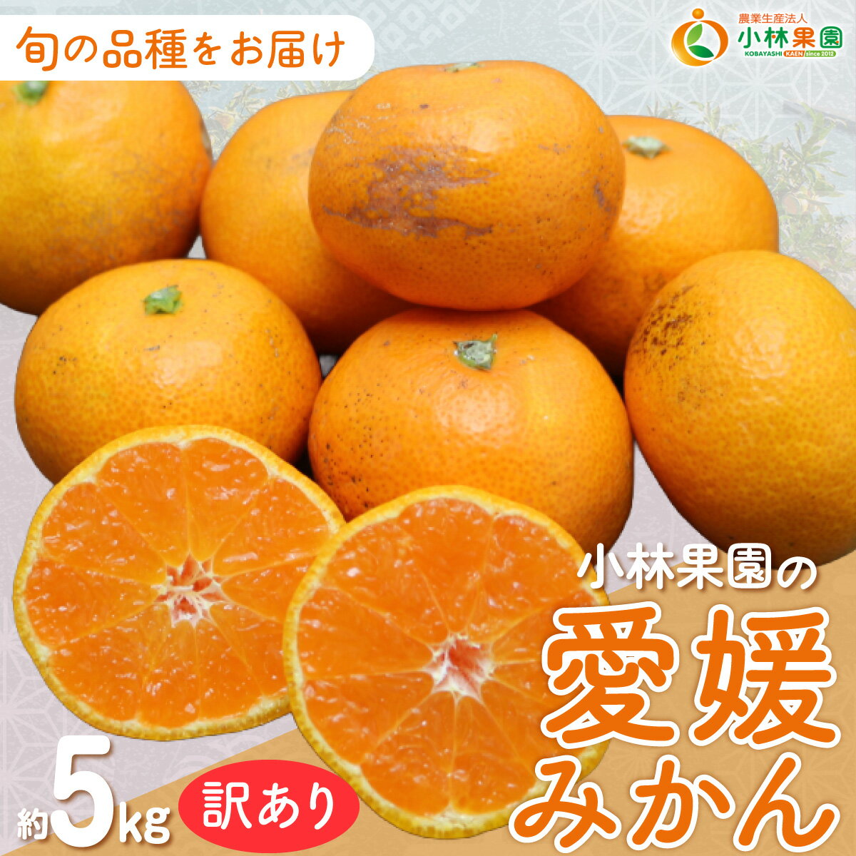 【ふるさと納税】【先行受付】小林果園の愛媛みかん(約5kg)【訳あり】【C24-15】YWTAD008