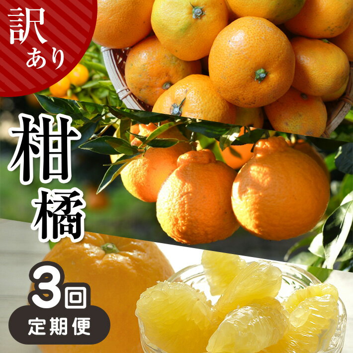 【ふるさと納税】訳あり 柑橘 定期便 3回 みかん9kg 不知火5kg 河内晩柑7kg | 玉名 熊本 生産者直送 みかん 産地直送 家庭用 大小混合 キズあり 熊本県 玉名市 送料無料