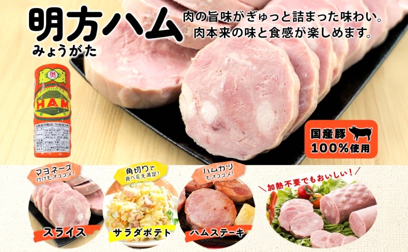 【9月中旬ごろより順次発送】明方 ハム 3本 プレスハム JA ブランド 高級 豚肉 お肉 国産 熟成 塩分 控えめ 天然 豚腸 バーベキュー BBQ 加工品 お取り寄せ 贈答 ギフト 送料無料 めぐみの農業協同組合 岐阜県 美濃市