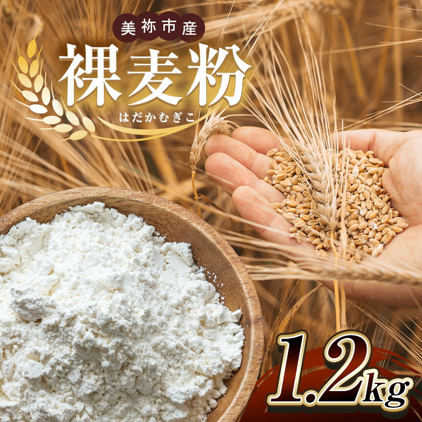 【ふるさと納税】美祢市産 裸麦粉 1.2kg ( 1袋300g×4 ) ｜ 裸麦子 健康 ヘルシー 健康食品 ぽんぽこの里 山口県 美祢市 美祢