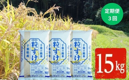 新米 【 令和7年産 】【 定期便 ・ 3ヶ月 】【新品種】千葉・粒すけ（精米）15kg | 米 こめ お米 おこめ 白米 精米 大つぶ 千葉県のブランド米 千葉県 君津市