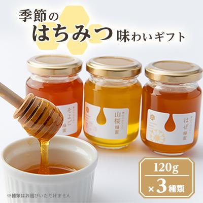 ふるさと納税 瑞浪市 東美濃厳選「季節のはちみつ味わいギフト」