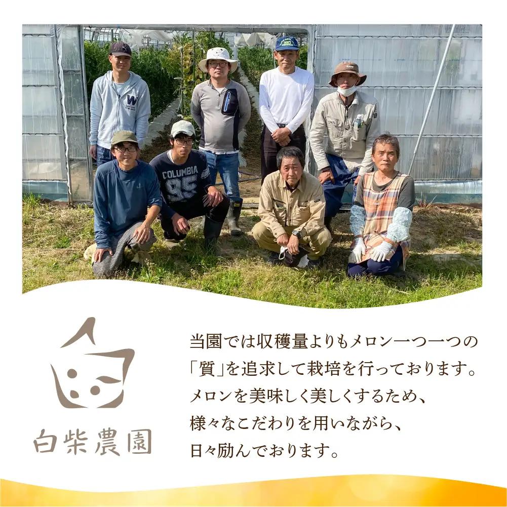 ≪先行予約 2027年発送≫ 温室マスクメロン 3～4玉 【訳あり】めろん メロン マスクメロン 訳あり わけあり 果物 フルーツ デザート 旬 旬の果物 高糖度 糖度 フルーツ先行予約 愛知県 豊橋