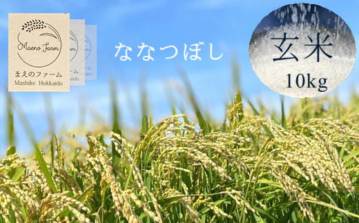 
5-012-033　【玄米】増毛町産米ななつぼし10kg（新米10月～発送）【前野ファーム】
