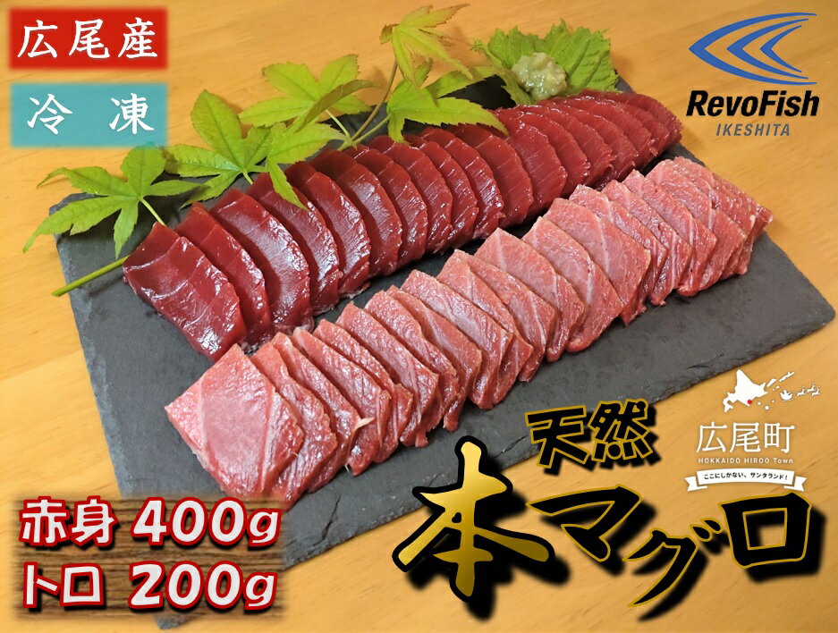 【ふるさと納税】広尾産 本まぐろの刺し身（赤身400g、トロ200g）【まぐろ　国産　天然　本マグロ　黒マグロ　クロマグロ　黒まぐろ　冷凍】(AM0008)