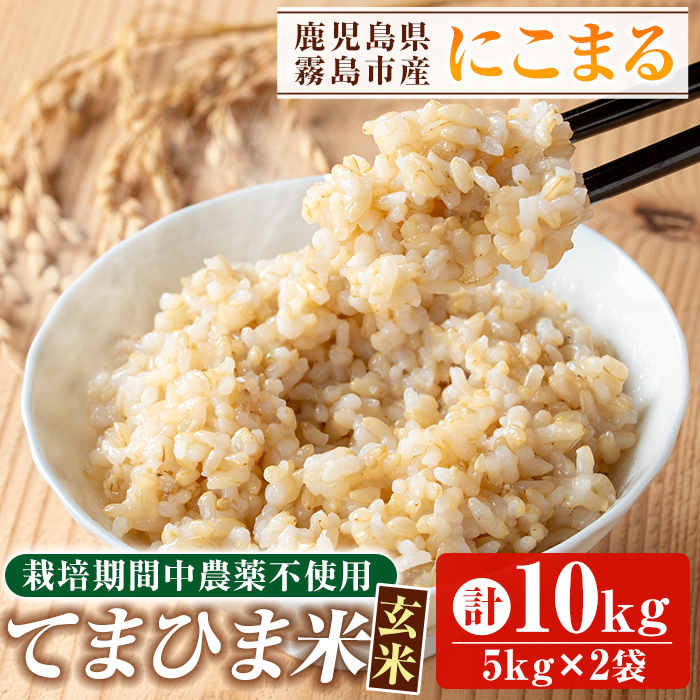 K-391-C 令和7年産 てまひま米・玄米(品種:にこまる)(計10kg)【末蜜農園】霧島市 お米 玄米 米 こめ コメ ご飯 ごはん 定期便 栽培期間中農薬不使用