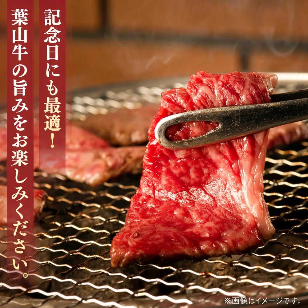 葉山牛 800g　ロース焼肉用 ／ 焼肉 焼き肉[ASBD007]