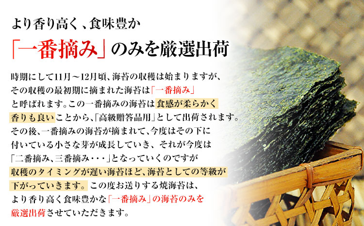 訳あり 一番摘み 有明海産 海苔 40枚  《45日以内に出荷予定(土日祝除く)》　熊本県産（有明海産）全形40枚入り ---fn_nw1nor01_45d_24_6000_40_yp---