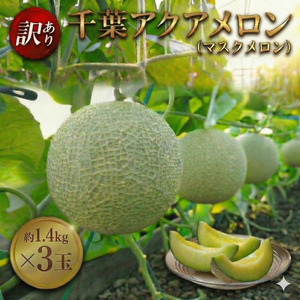 【約1.4kg×3玉】 訳あり 千葉アクアメロン （ マスクメロン ） 青肉