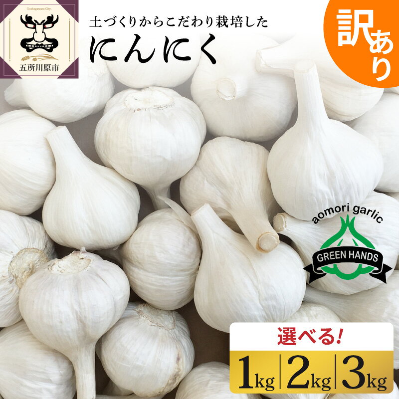 【ふるさと納税】＼★4.94 レビュー高評価 ／ にんにく 【 訳あり 】 青森県産 ( 内容量が選べる : 1kg 2kg 3kg )【 先行予約 8月中旬より順次発送】/ ニンニク 野菜 薬味 ホワイト6片種 濃厚 食品 自宅用 家庭用 ストック 長期保存 常温保存 青森県 五所川原市
