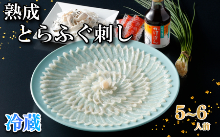 【お届け指定日必須】 熟成 とらふぐ 刺し 5～6人前 冷蔵 ふぐ NE