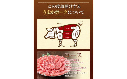 豚 肉  しゃぶ しゃぶ 3種 うまか ポーク スライス 1.5kg ロース バラ トレー《30日以内に出荷予定(土日祝除く)》---fn_fumpsya_24_14000_t1500g_30d---