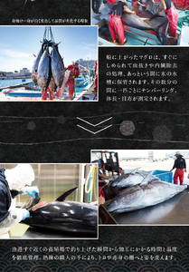本マグロ 冷凍 まぐろ マグロ 鮪 中トロ 赤身  本マグロ 【1か月以内に発送】（養殖）トロ＆赤身セット 240g【nks113】