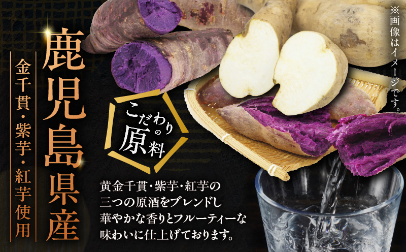 黄紫紅 芋焼酎 25度 900ml×12本　K377-010_04