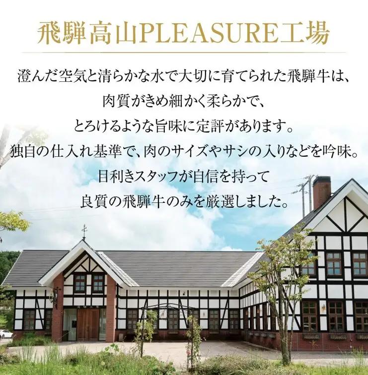 訳あり 飛騨牛 切落し 1kg 訳あり 飛騨高山ミート [MZ035]