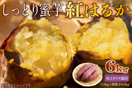 さつまいも　紅はるか　M,Lサイズ混合　6kg mi0084-0010-4
