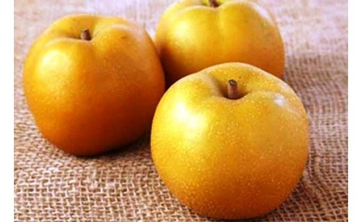 【ふるさと納税】北海道産 安心・安全の【和梨（愛甘水）】10個 　有機質肥料　なし　ナシ　甘い　フルーツ　くだもの　果物
