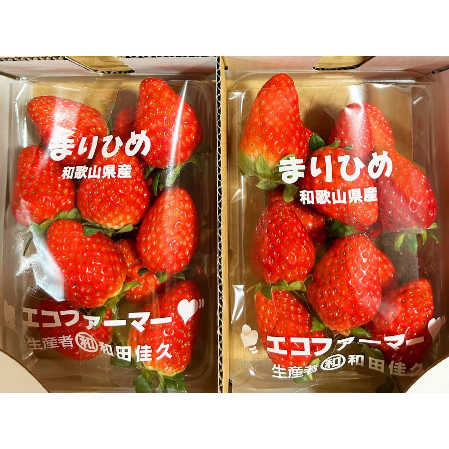 ＜魚鶴＞「苺」まりひめ　秀品280g×2パック