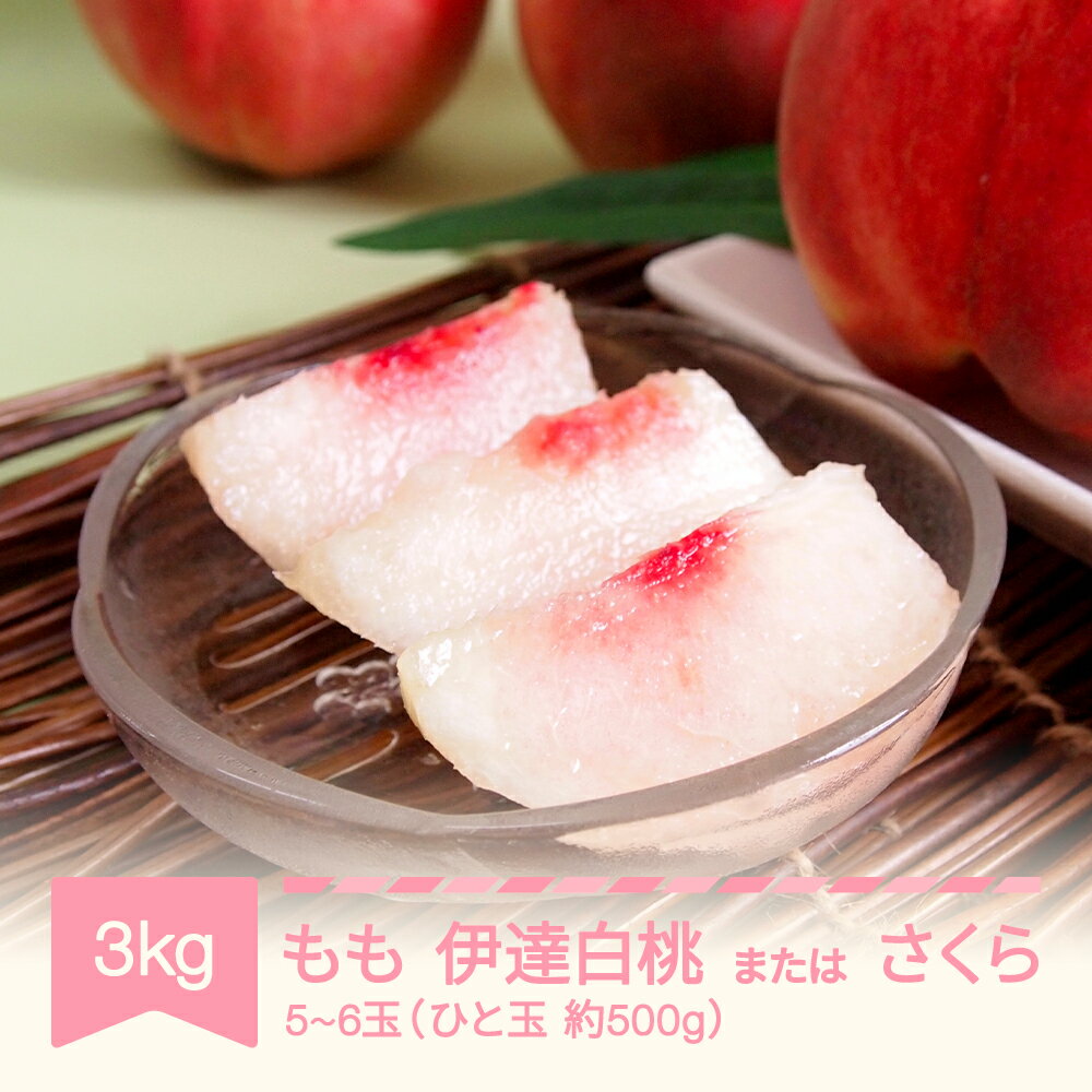 【ふるさと納税】【先行予約】もも 桃 伊達白桃 または さくら 約3kg 大玉 特大 ギフト 贈答用 2026年産 令和8年産 山形県産 送料無料 ※沖縄・離島への配送不可 mm-modsx3000