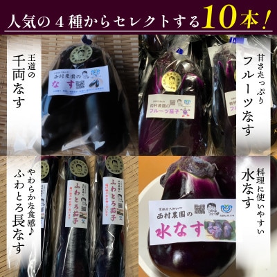 なす3~4種類おまかせ10本!(水なす・フルーツなす・千両なす・ふわとろ長なす)