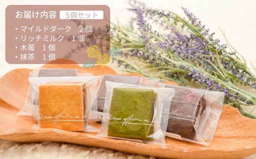 とりこ ショコラアソートBOX 10個入り | ショコラ アソート チョコレート 詰め合わせ ギフト プレゼント お土産 お洒落 おやつ ティータイム 群馬県 前橋市
