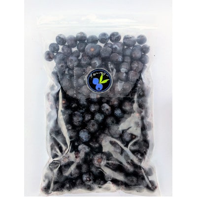 【北海道十勝産 希少品種】冷凍ブルーベリー500g×5袋【配送不可地域：離島】【1677073】