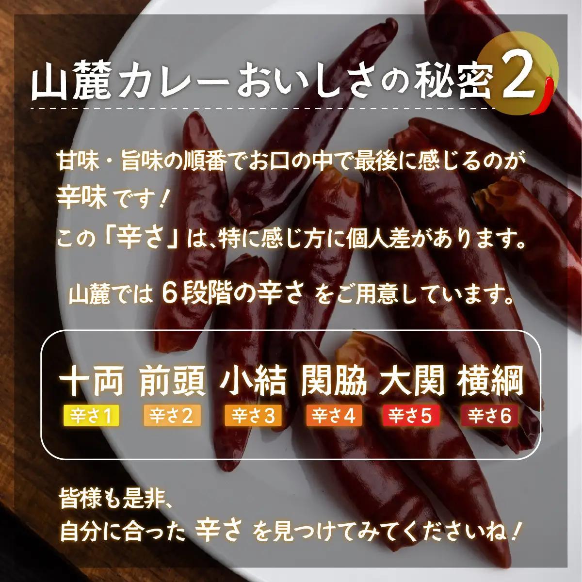 また食べたくなるカレー！＜木更津山麓カレー＞十両・小結セット