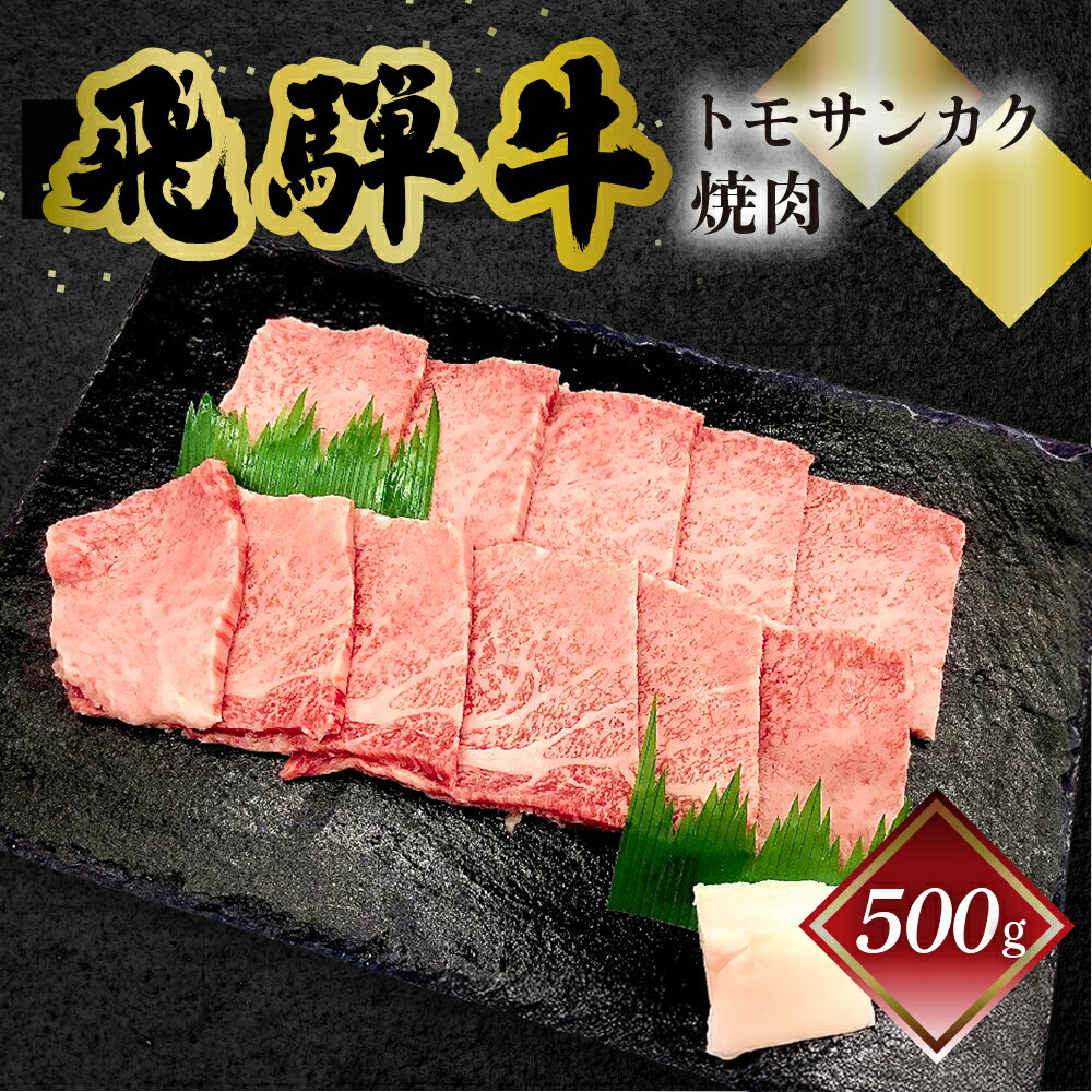 【ふるさと納税】菊の井飛騨牛 トモサンカク焼肉　 500g（4〜5人前）飛騨牛 下呂温泉 おすすめ 牛肉 肉 和牛 赤身 人気 ブランド牛 肉ギフト 国産　贈答品 トモサンカク ギフト 焼肉　【冷凍】 25000円 岐阜県 下呂市