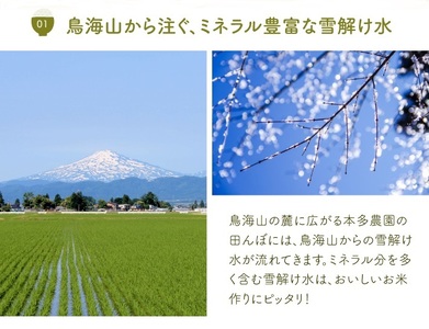 SC0671　令和7年産【精米】つや姫　10kg(5kg×2袋)  農家直送 HO