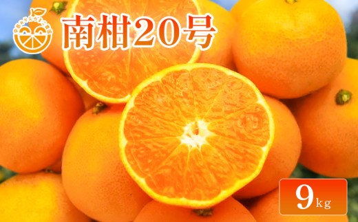 【2026年11月下旬頃から順次発送】 中島産 南柑20号 約9kg 中島みかんのまこ農園 | 愛媛産 愛媛県産 国産 蜜柑 柑橘 フルーツ 果物 くだもの お取り寄せ 数量限定 人気 おすすめ 愛媛県 松山市 送料無料