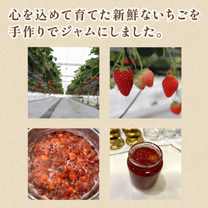 苺ジャム 紅ほっぺ 2本 いちごジャム ｜ ジャム