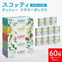 【ふるさと納税】【スコッティ】 ティシュー フラワーボックス 250組（5箱パック×12 合計60箱） ティッシュ 日用品 生活必需品 送料無料