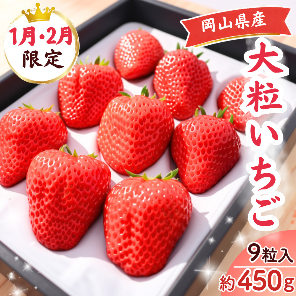 大粒 完熟いちご 先行予約 1月・2月限定発送 紅ほっぺ ほしうらら よつぼし かおり野 スターナイト 基準糖度12度以上 苺 贈答用 産地直送 岡山県西粟倉村 M-FI-A69A