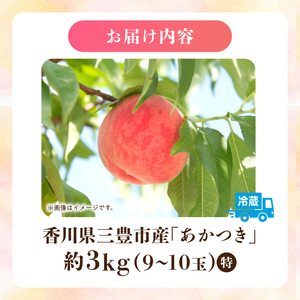 【配送不可地域：北海道・沖縄県・離島】もも 桃 あかつき 白桃 白鳳 神田桃園 【2025年7月中旬から順次発送】香川県三豊市産「あかつき」（約3kg）_M51-0011