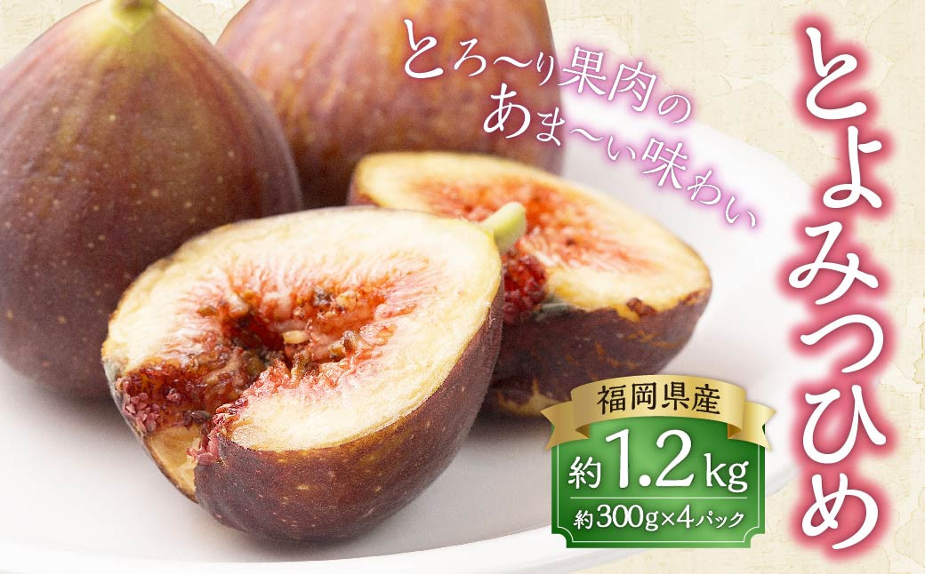 
            福岡県産 無花果・とよみつひめ 約300g×4パック 計1.2kg いちじく イチジク 無花果 プレミアム 果物 くだもの フルーツ 【2025年8月上旬～10月下旬発送予定】
          