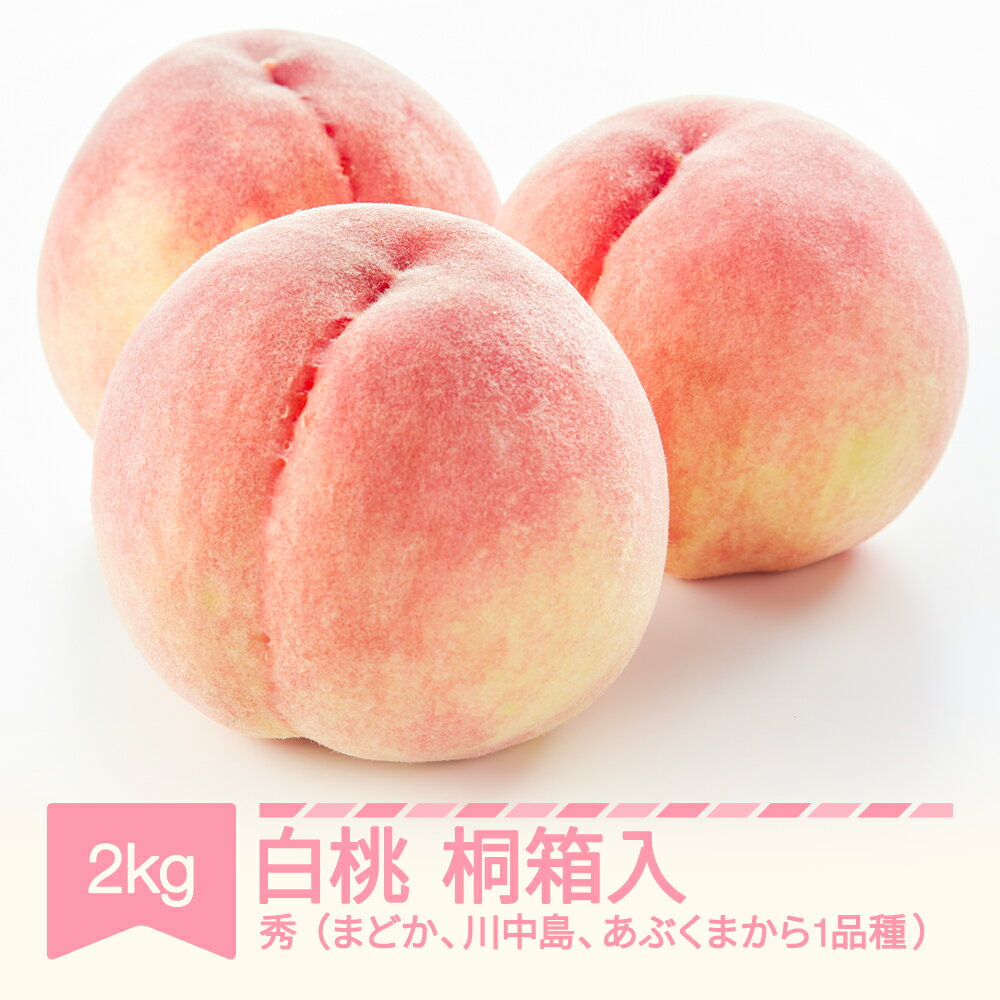 【ふるさと納税】【先行予約】白桃 秀 桐箱入 もも 桃 品種おまかせ 約2kg 令和8年産 2026年産 果物 ※沖縄・離島への配送不可 mm-moomk2000
