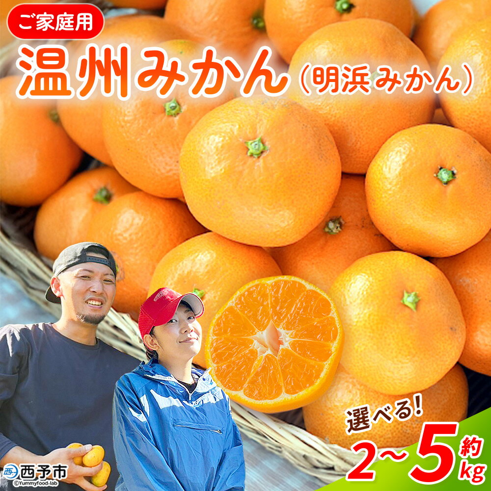 【ふるさと納税】＜温州みかん（明浜みかん） 家庭用 約2kg/5kg＞ 選べる 内容量 温州 うんしゅう みかん 蜜柑 旬 果物 フルーツ 柑橘 明浜 低農薬 ご家庭用 国産 愛媛県産 送料無料 特産品 井上農園 愛媛県 西予市【常温】『2025年11月～12月中旬迄に順次出荷』