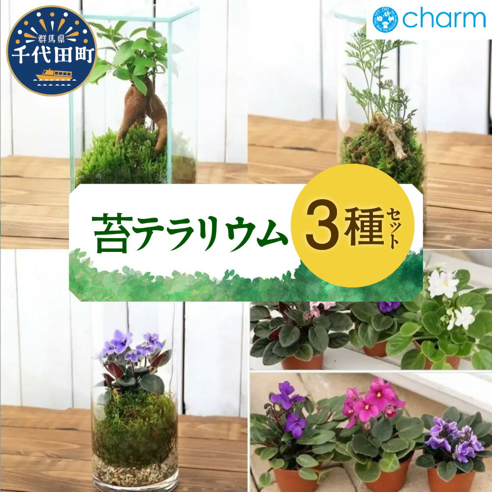 【ふるさと納税】苔テラリウム 3種類セット 苔 北海道冬季発送不可 群馬県 千代田町 インテリア ナチュラル 自然 プレゼント ギフト 贈答用 送料無料 趣味 風水 緑 人気 オススメ 初心者 玄関 自家栽培 株式会社チャーム