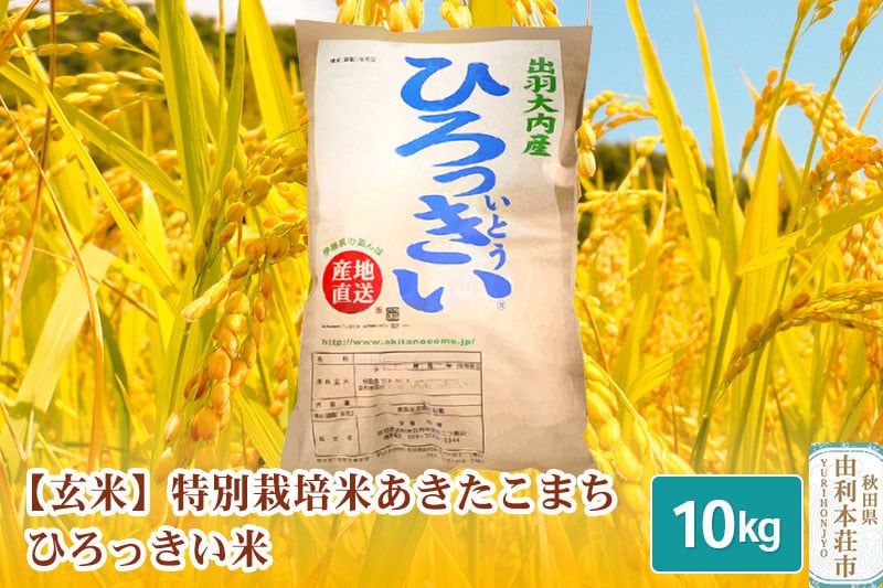 
【玄米】 秋田県産 あきたこまち 10kg 令和6年産 特別栽培米 ひろっきい米
