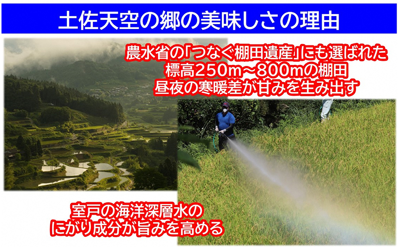 【新米予約】農林水産省の「つなぐ棚田遺産」に選ばれた棚田で育てられた棚田米　土佐天空の郷　ヒノヒカリ　5kg