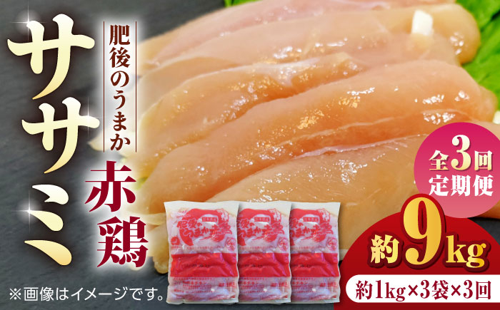 
            【3回定期便】肥後のうまか 赤鶏  ササミ 約3kg【やまうちフード株式会社 熊本営業所】 鶏肉 銘柄鶏  ささみ ササミ 鶏肉 赤鶏  [ZAB009]
          